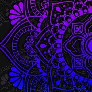 Meet your Posher, Foxxi